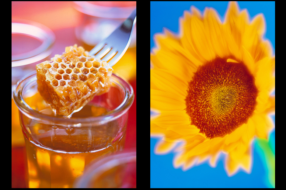 Food Photographer Suffolk