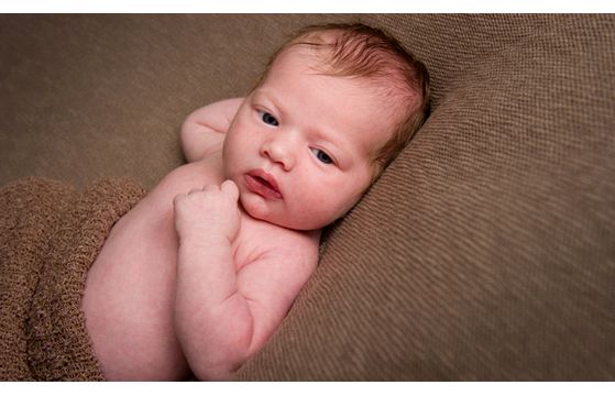 Newborn Photoshoot