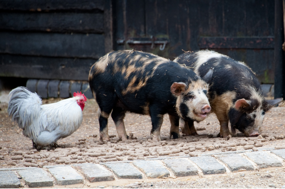 South Farm weddings3